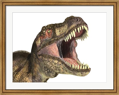 Framed Close-up of Tyrannosaurus Rex dinosaur with Mouth Open Print