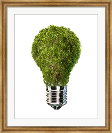 Framed Light Bulb with Tree Inside glass, Isolated on White Background Print