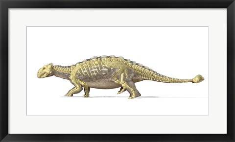 Framed Ankylosaurus Dinosaur with Full Skeleton Superimposed Print