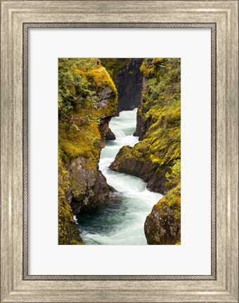 Framed River, Vancouver Island, British Columbia Print
