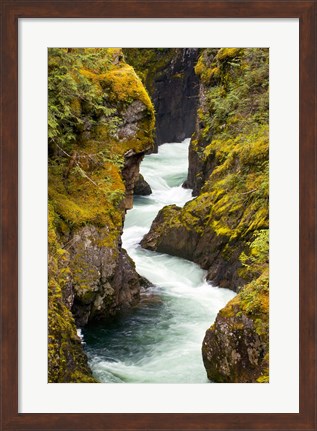 Framed River, Vancouver Island, British Columbia Print