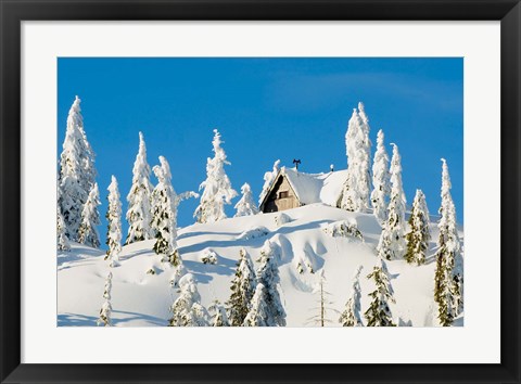 Framed Mountain cabin, Seymour Mountain, British Columbia Print