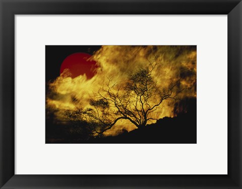 Framed Composite of a Lone tree, Burning Fire, and Red Sun Print