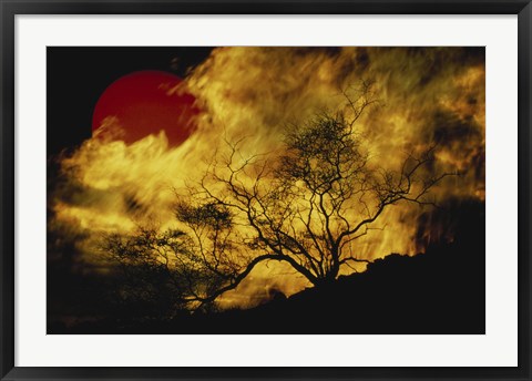 Framed Composite of a Lone tree, Burning Fire, and Red Sun Print