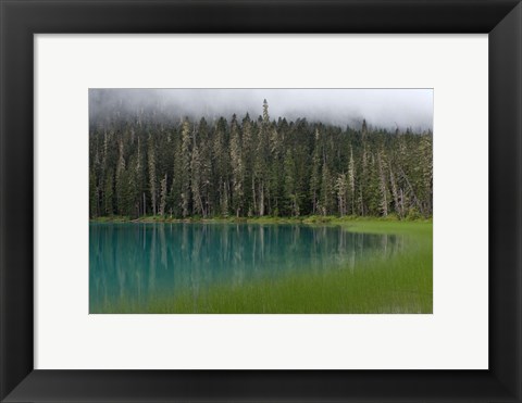 Framed Blue glacial lake, evergreen forest, British Columbia Print