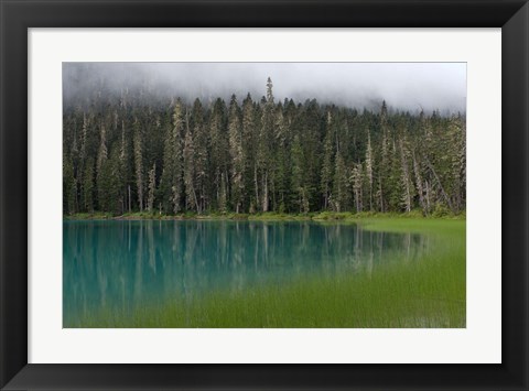 Framed Blue glacial lake, evergreen forest, British Columbia Print