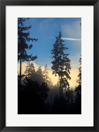 Framed Stanley Park, Vancouver, British Columbia, Canada Print