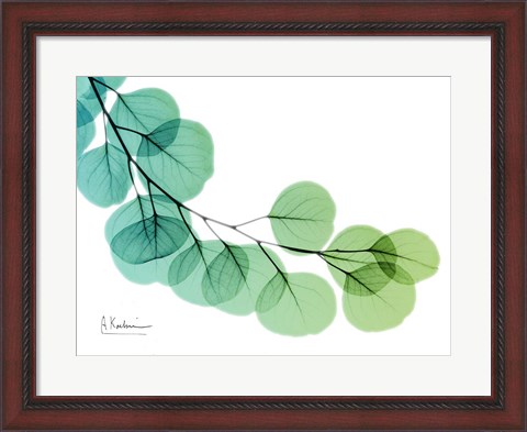 Framed Eucalyptus Green Blue Print