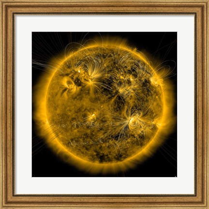 Framed Magnetic Field lines on the Sun Print