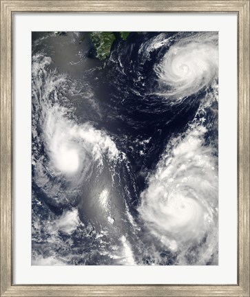 Framed Three different Typhoons Spinning over the Western Pacific Ocean Print