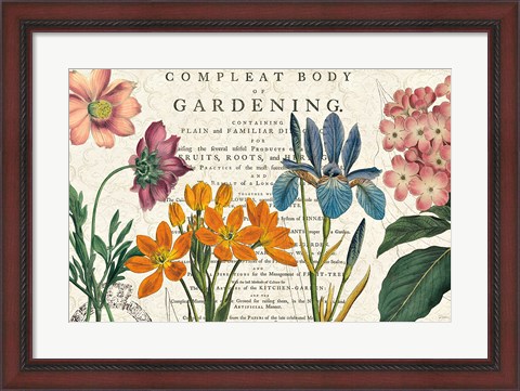 Framed Botany Print