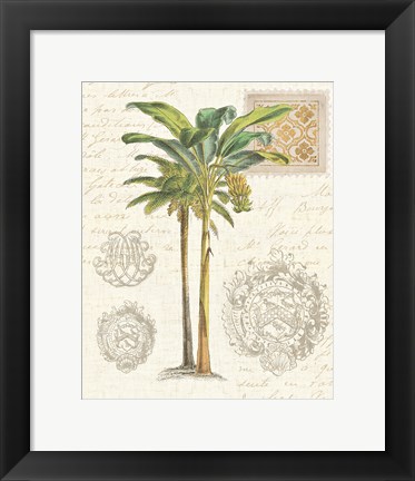 Framed Vintage Palm Study I Print