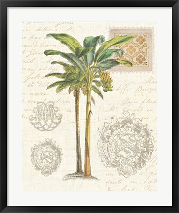 Framed Vintage Palm Study I Print