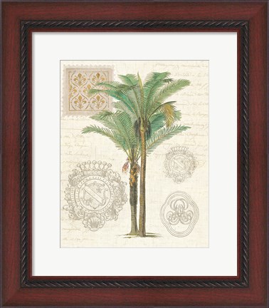 Framed Vintage Palm Study II Print