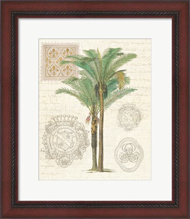 Framed Vintage Palm Study II Print