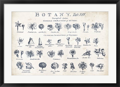 Framed Botany Tab VIII Indigo and White Print