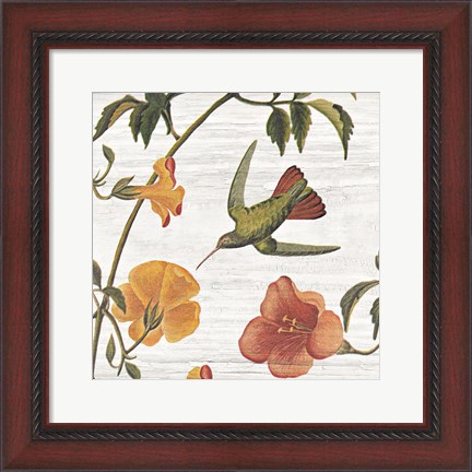 Framed Vintage Hummingbird I Print