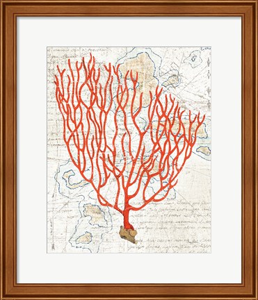 Framed Textured Coral IV Print