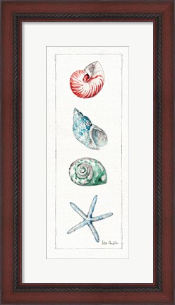 Framed Sea Finds IV (panel) Print