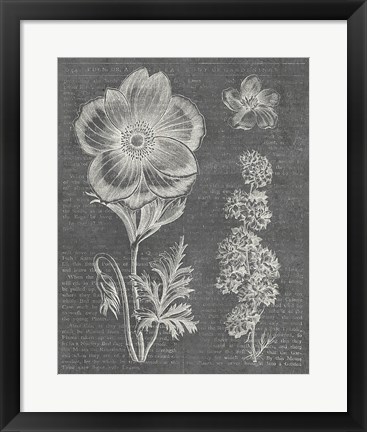 Framed Eden Spring I Gray Print