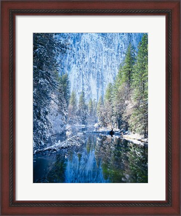 Framed Winter trees along Merced River, Yosemite Valley, Yosemite National Park, California Print