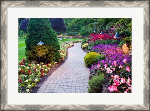 Framed Path and Flower Beds in Butchart Gardens, Victoria, British Columbia, Canada Print