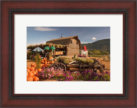 Framed Log Barn and Fruit Stand in Autumn, British Columbia, Canada Print