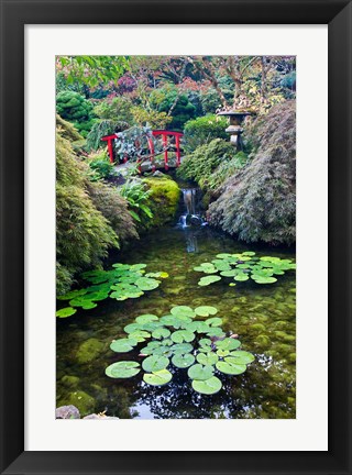 Framed Red Bridge, Autumn Color, Butchard Gardens, Victoria, British Columbia, Canada Print