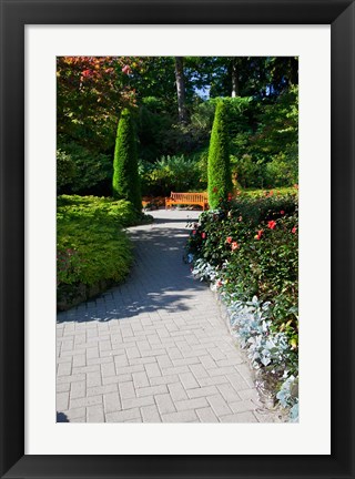 Framed Trail Through the Butchard Gardens, Victoria, British Columbia, Canada Print