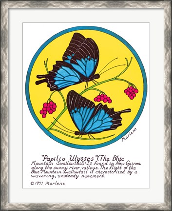 Framed Blue Mountain Swallowtail Print