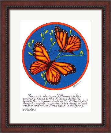 Framed Monarch Print