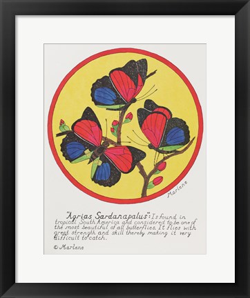 Framed Agrias Sardanaplaus Print