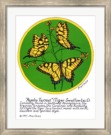 Framed Tiger Swallowtail Print