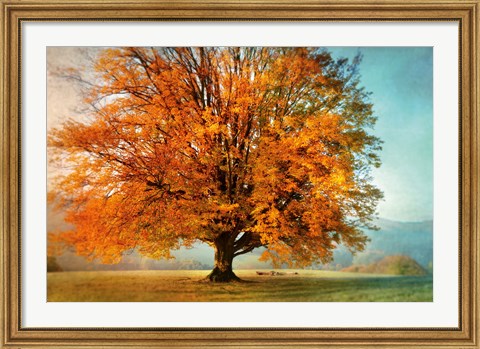 Framed Autumn&#39;s Passion Print