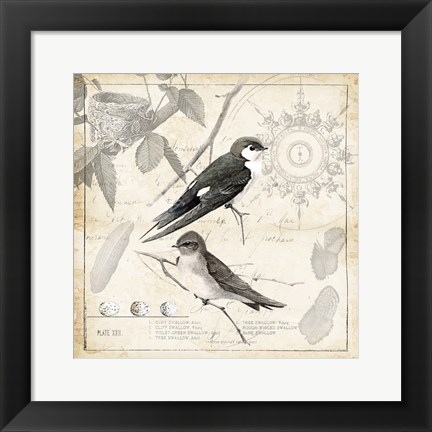 Framed Botanical Birds Black Cream II Print