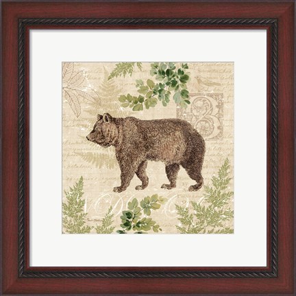 Framed Woodland Trail II (Bear) Print