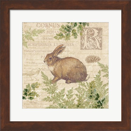 Framed Woodland Trail IV (Rabbit) Print