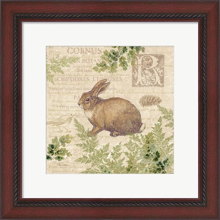 Framed Woodland Trail IV (Rabbit) Print