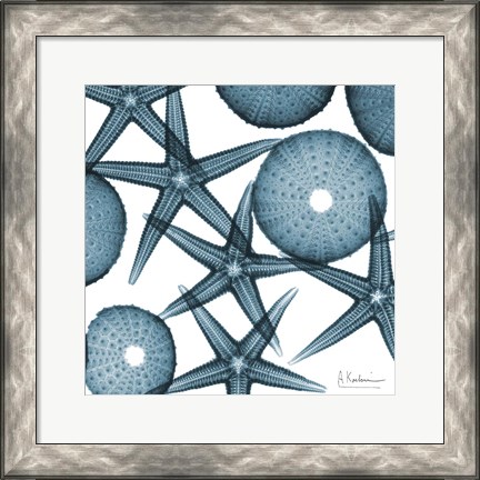 Framed Starfish 2 Print