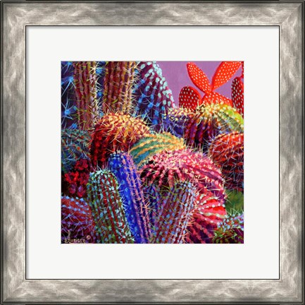 Framed Barrel Cactus 4 Print