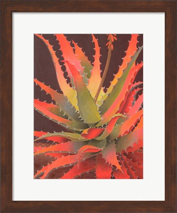 Framed Sunset Agave Print