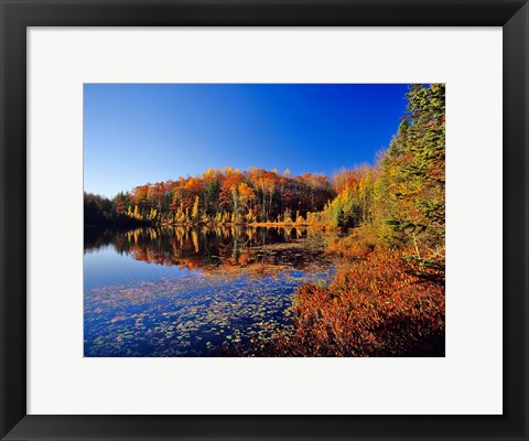 Framed Pond in the Chaquamegon National Forest, Cable, Wisconsin Print