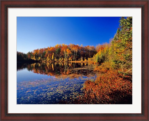 Framed Pond in the Chaquamegon National Forest, Cable, Wisconsin Print
