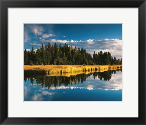 Framed Trees reflecting in Snake River, Grand Teton National Park, Wyoming Print