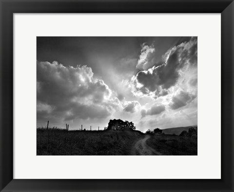 Framed Lonely Path I Print