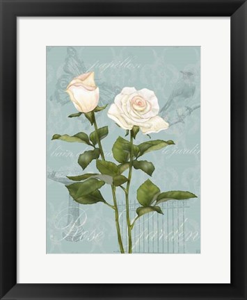 Framed Cream Rose II Print