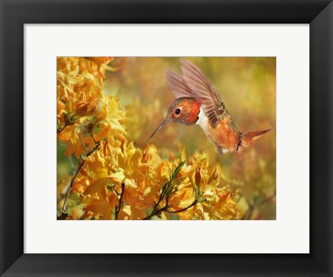 Framed Flower Dance XI Print