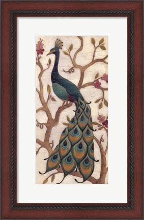 Framed Peacock Fresco II Print
