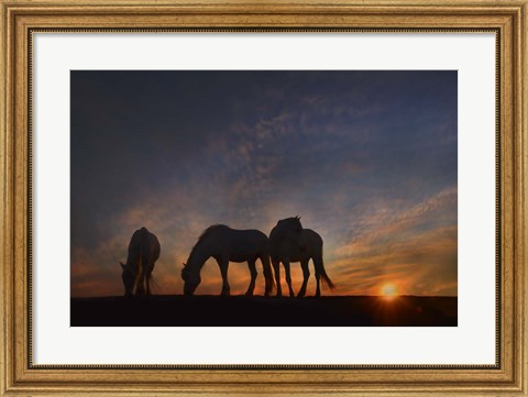 Framed Camargue Sunrise Print