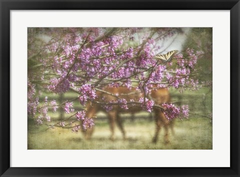 Framed Spring has Sprung Print